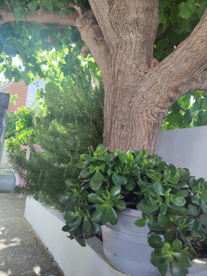 Yannis Apartments Georgioupoli Exterior photo